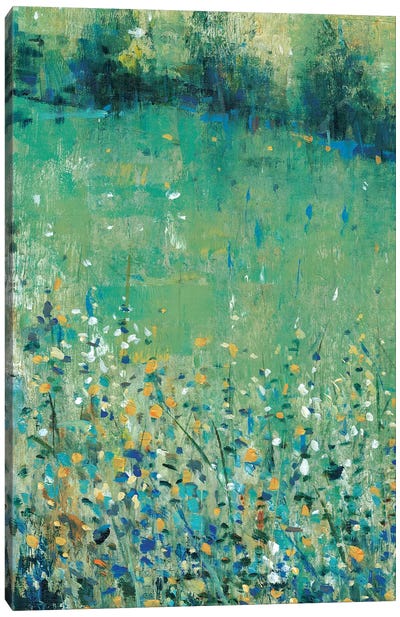 Lush Meadow I Canvas Art Print - Tim O'Toole