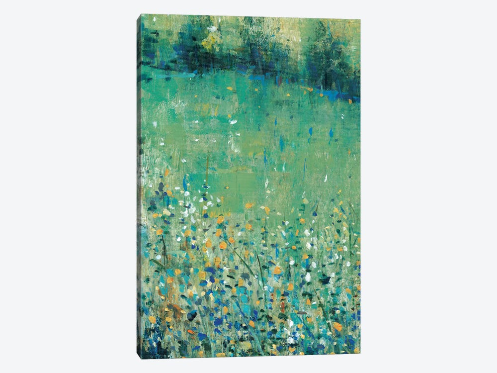 Lush Meadow I by Tim OToole 1-piece Canvas Art Print