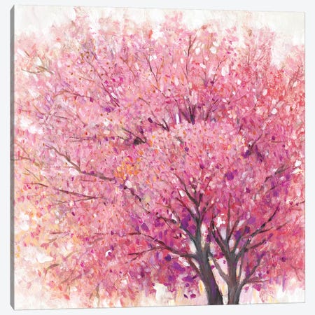 Pink Cherry Blossom Tree II Canvas Print #TOT501} by Tim OToole Canvas Artwork