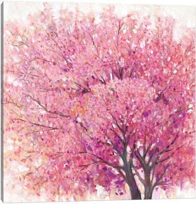 Pink Cherry Blossom Tree II Canvas Art Print - Blossom Art