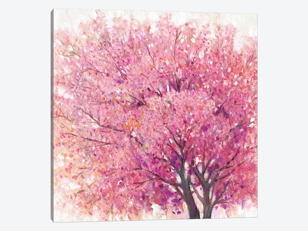 Pink Cherry Blossom Tree II by Tim OToole 1-piece Canvas Wall Art