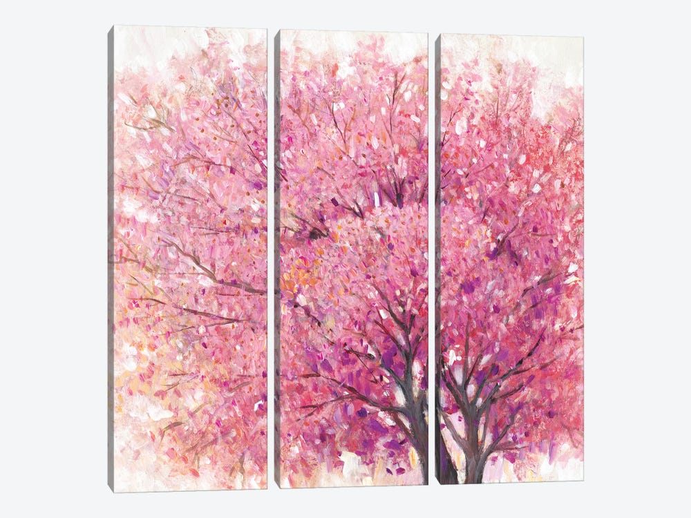 Pink Cherry Blossom Tree II by Tim OToole 3-piece Canvas Art