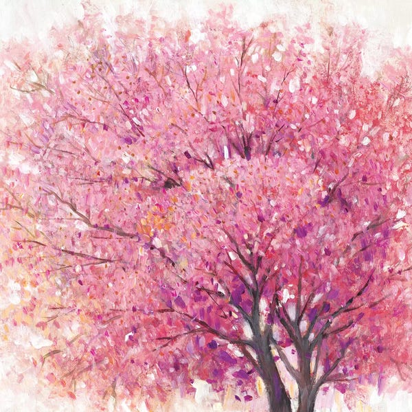 Pink Cherry Blossom Tree II
