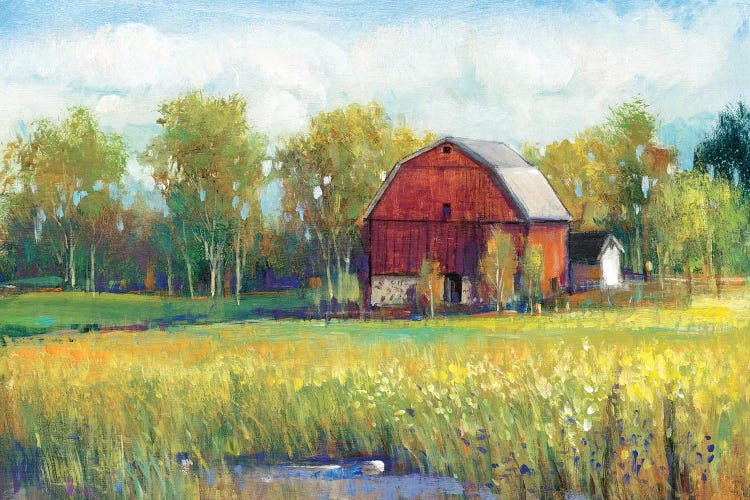 Rural America I by Tim OToole wall art