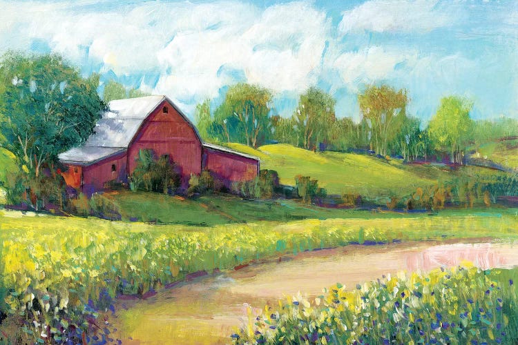 Rural America II by Tim OToole wall art