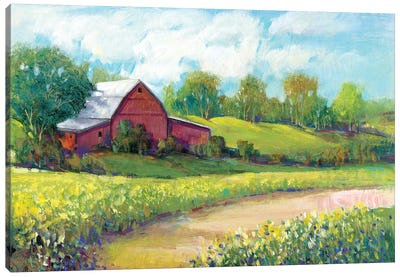 Rural America II Canvas Art Print - Trail, Path & Road Art