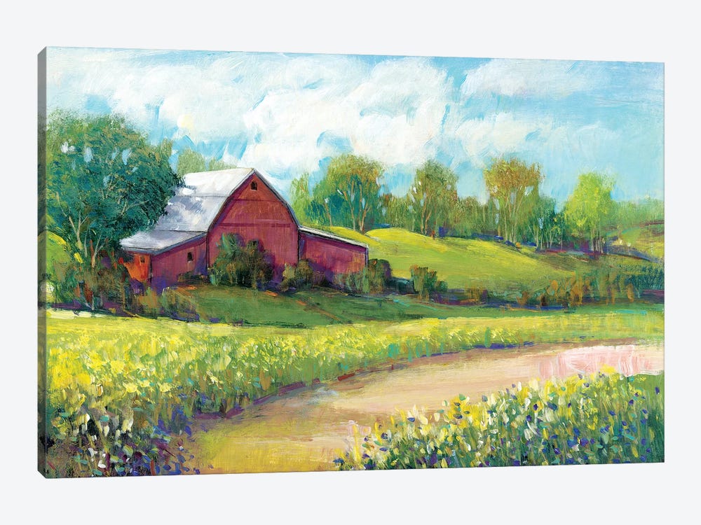 Rural America II by Tim OToole 1-piece Canvas Art
