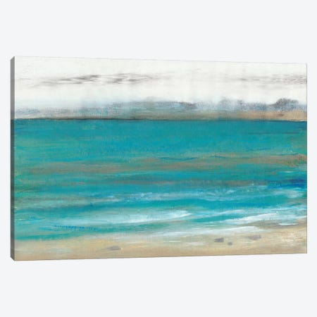 Seashore I Canvas Print #TOT504} by Tim OToole Art Print