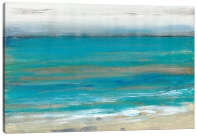 Seashore II Canvas Art Print - Tim O'Toole