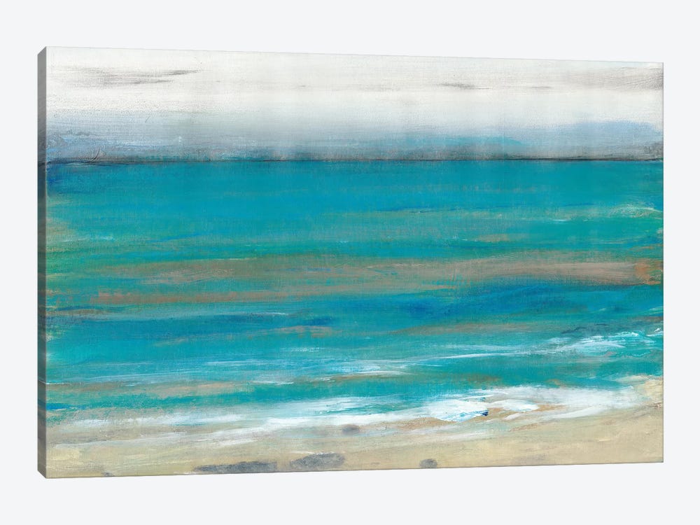 Seashore II by Tim OToole 1-piece Canvas Artwork