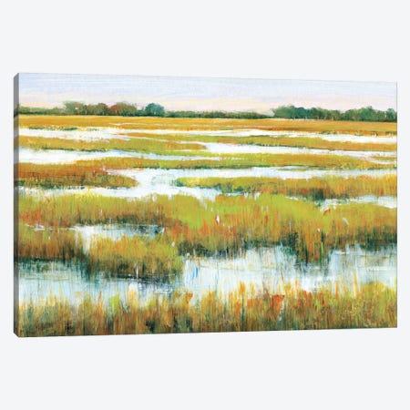 Serene Marshland II Canvas Print #TOT507} by Tim OToole Canvas Art Print