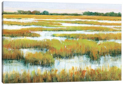 Serene Marshland II Canvas Art Print - Tim O'Toole