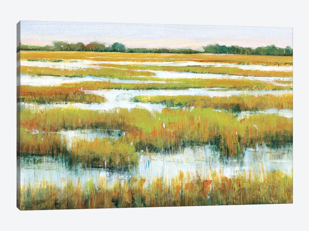 Serene Marshland II by Tim OToole 1-piece Canvas Wall Art