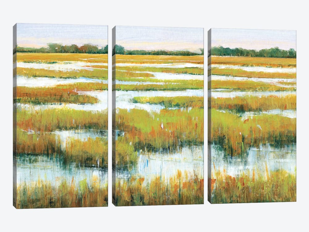 Serene Marshland II by Tim OToole 3-piece Canvas Art