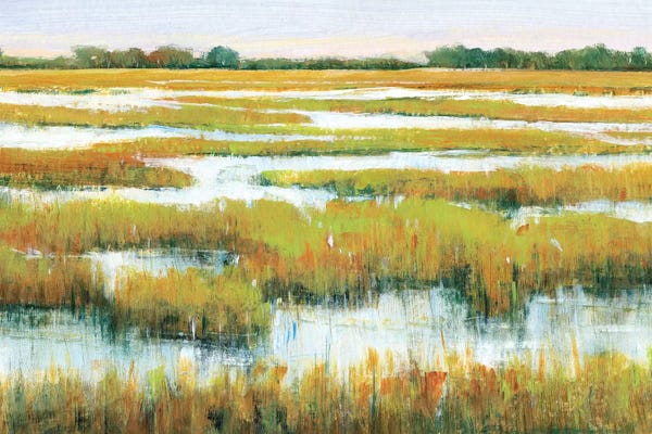 Marshes & Swamps: Serene Marshland II by Tim O'Toole