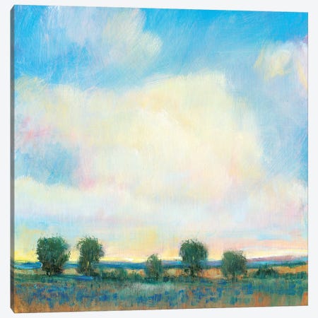 Summer Sky I Canvas Print #TOT510} by Tim OToole Art Print