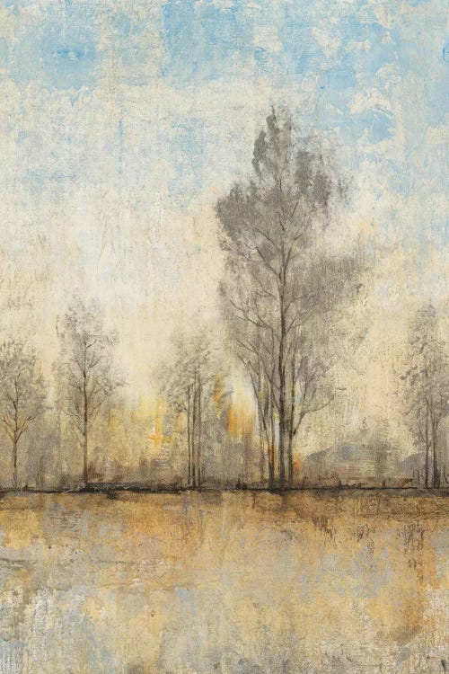 Quiet Nature I by Tim OToole wall art