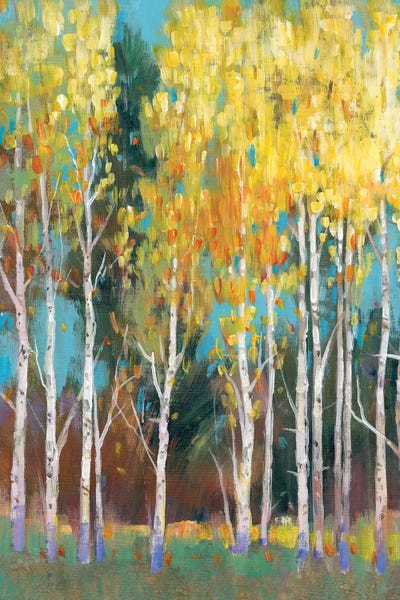 Aspen Grove II by Tim O'Toole multi panel art