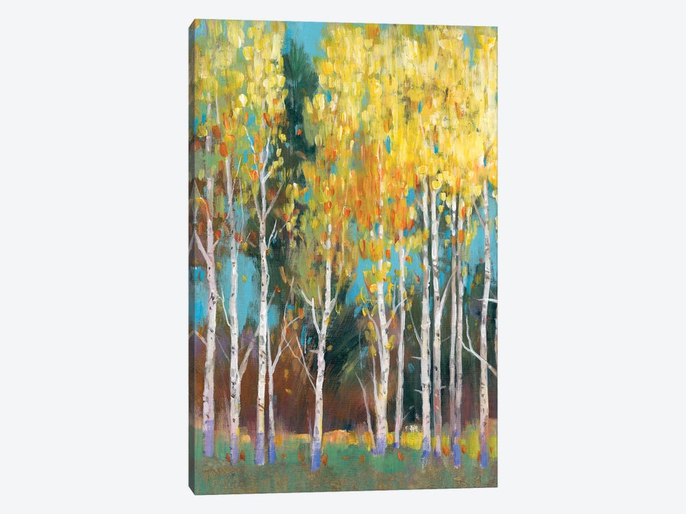 Aspen Grove II by Tim OToole 1-piece Canvas Art