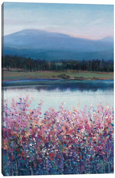 Lakeside Mountain I Canvas Art Print - Garden & Floral Landscape Art