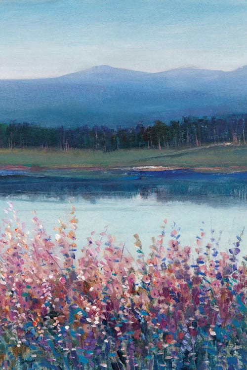 Lakeside Mountain II by Tim OToole wall art