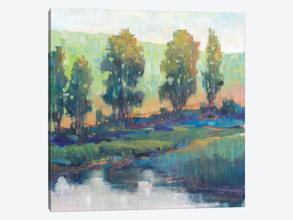 Morning Lightscape II by Tim OToole 1-piece Canvas Wall Art