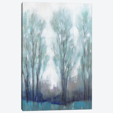 Through the Clearing I Canvas Print #TOT528} by Tim OToole Canvas Art