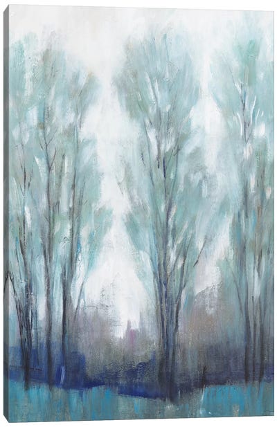 Through the Clearing I Canvas Art Print - Tim O'Toole
