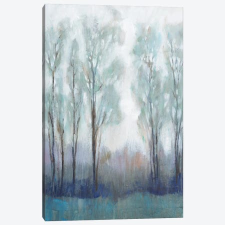 Through the Clearing II Canvas Print #TOT529} by Tim OToole Canvas Artwork