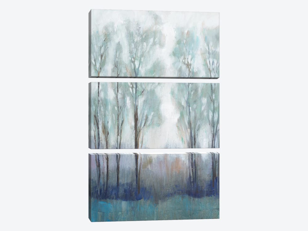 Through the Clearing II by Tim OToole 3-piece Canvas Artwork