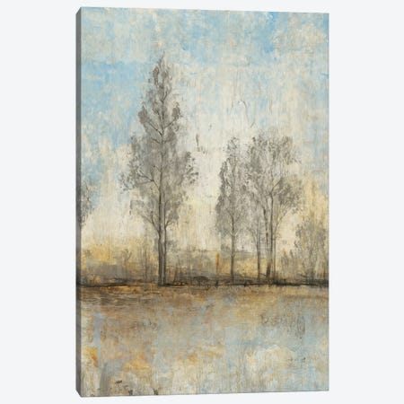 Quiet Nature II Canvas Print #TOT52} by Tim OToole Canvas Art