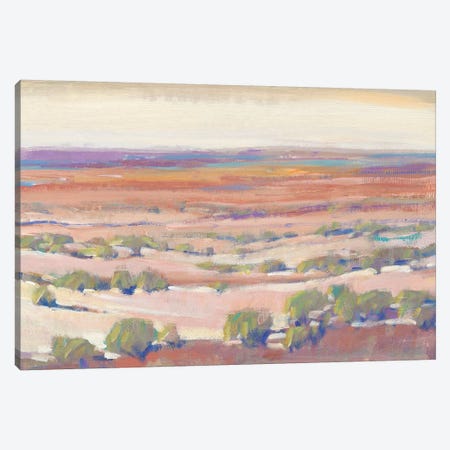 High Desert Pastels I Canvas Print #TOT544} by Tim OToole Canvas Print