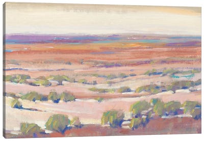 High Desert Pastels I Canvas Art Print - Desert Art