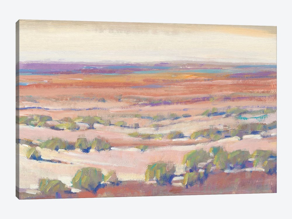 High Desert Pastels I by Tim OToole 1-piece Canvas Print