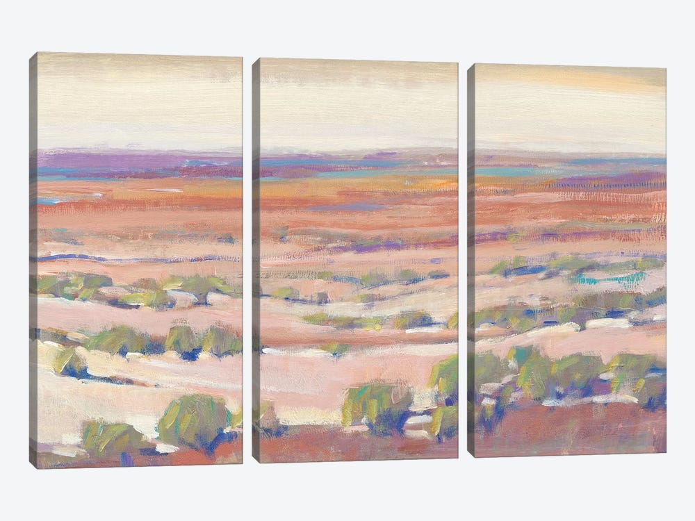 High Desert Pastels I by Tim OToole 3-piece Art Print