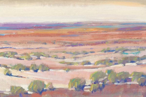 Western Décor: High Desert Pastels I by Tim O'Toole