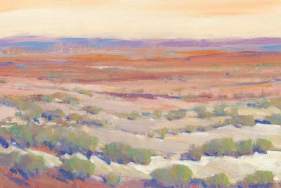 High Desert Pastels II by Tim O'Toole art print