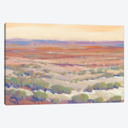 High Desert Pastels II Canvas Print #TOT545} by Tim OToole Canvas Print
