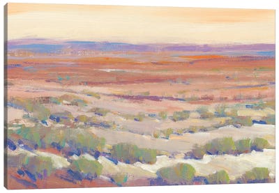High Desert Pastels II Canvas Art Print - Desert Art