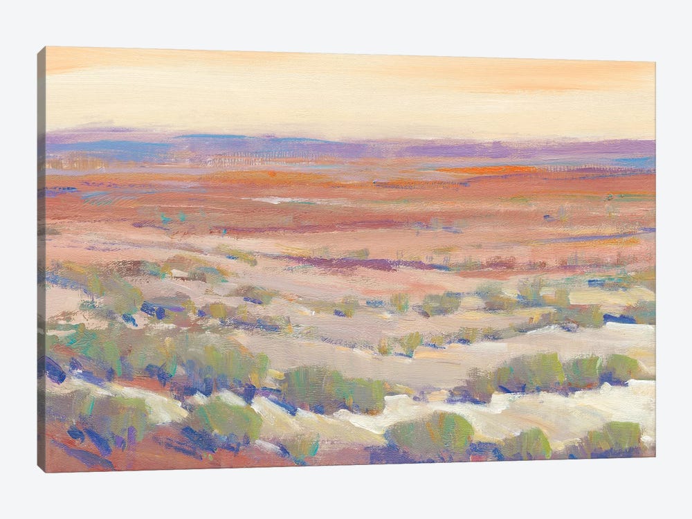 High Desert Pastels II by Tim OToole 1-piece Canvas Artwork