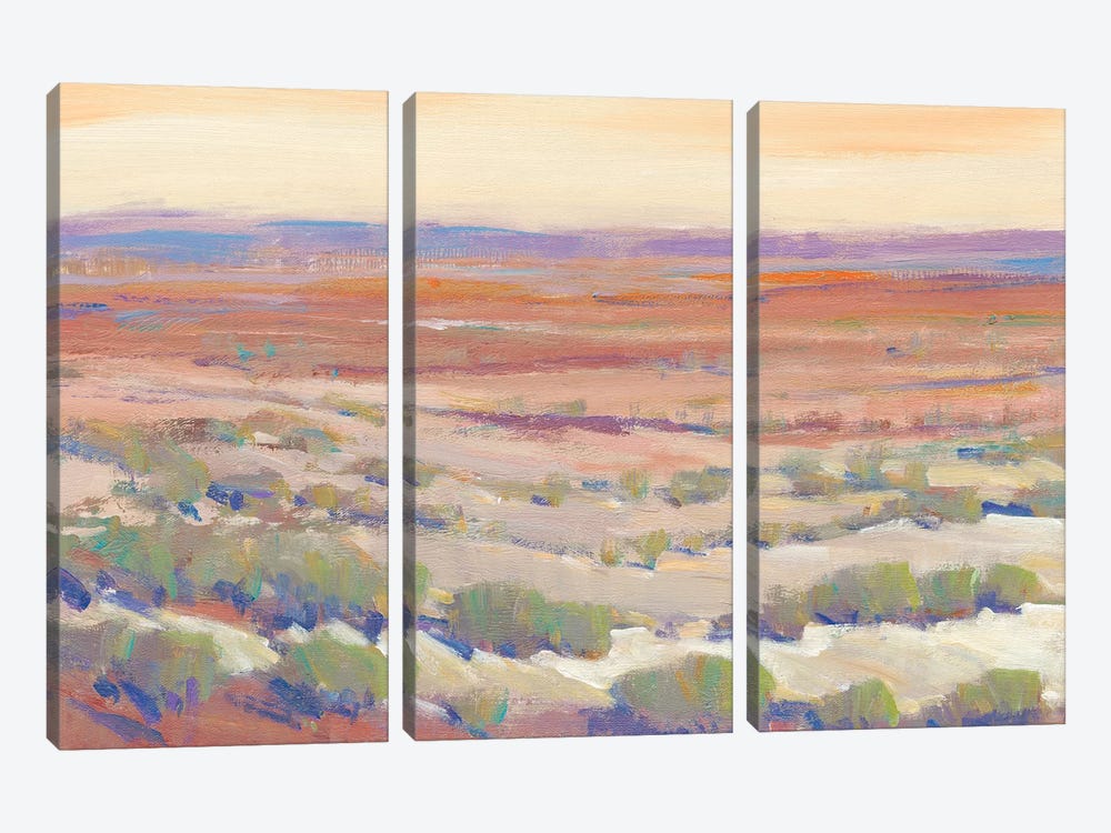 High Desert Pastels II by Tim OToole 3-piece Canvas Artwork