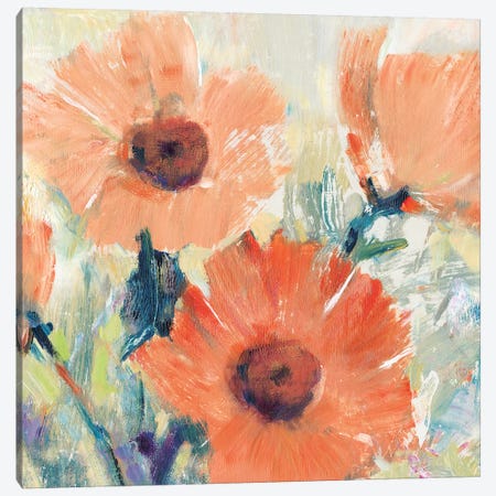 Flowers in Bloom I Canvas Print #TOT561} by Tim OToole Canvas Art