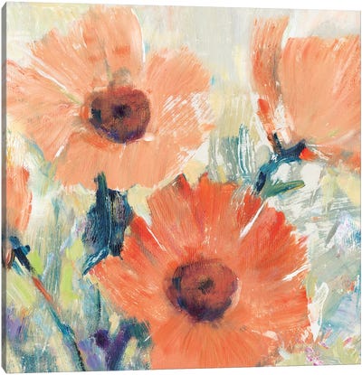 Flowers in Bloom I Canvas Art Print - Tim O'Toole