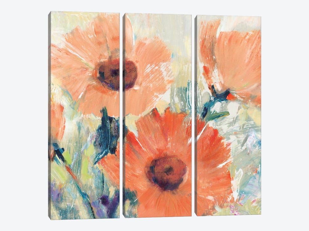 Flowers in Bloom I by Tim OToole 3-piece Canvas Art