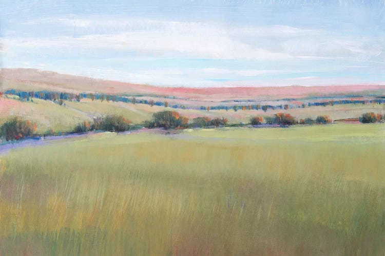 Hill Country I by Tim OToole wall art
