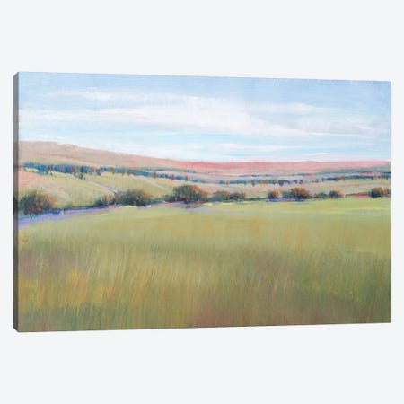 Hill Country I Canvas Print #TOT565} by Tim OToole Art Print