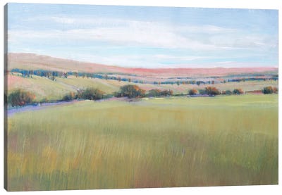 Hill Country I Canvas Art Print - Tim O'Toole