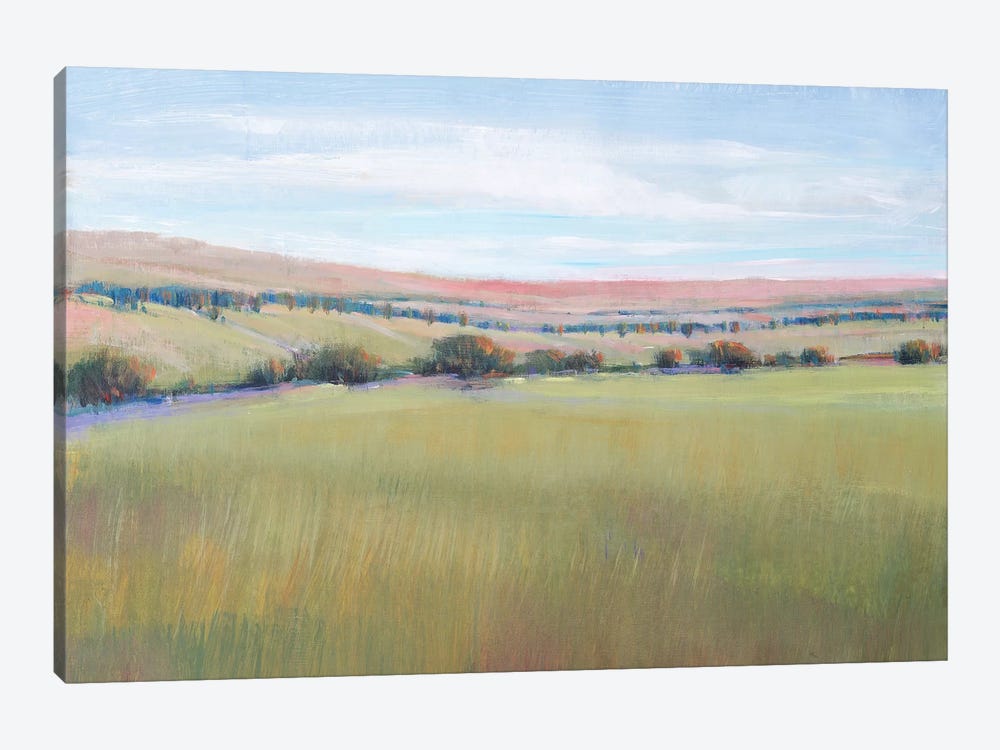 Hill Country I by Tim OToole 1-piece Canvas Wall Art
