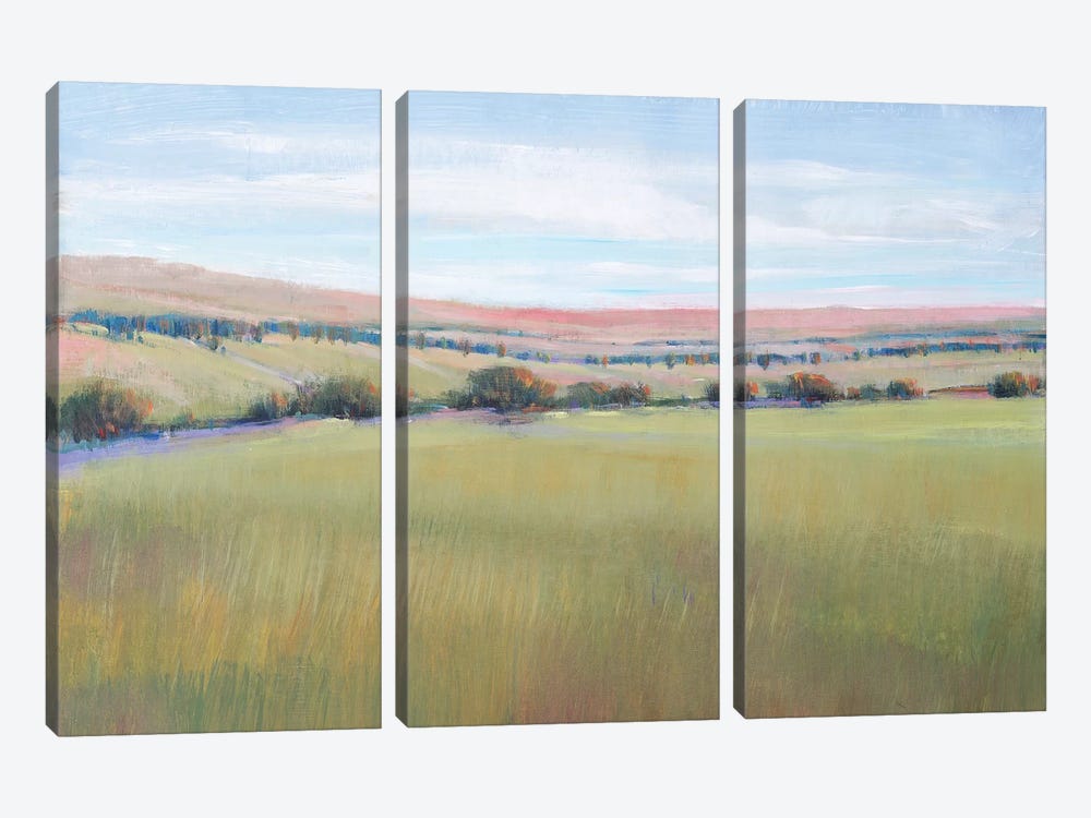 Hill Country I by Tim OToole 3-piece Canvas Artwork