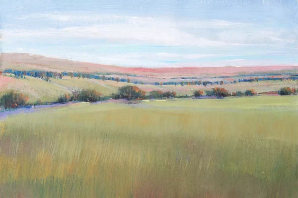 Fields, Grasslands & Meadows: Hill Country I by Tim O'Toole